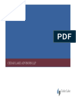 Cedar Lake Advisors LLP Pitchbook