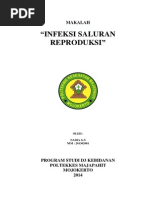 Download MAKALAH - INFEKSI SALURAN REPRODUKSI ISRdocx by Sony Sonicomp SN248596277 doc pdf