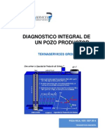 Analisis Integral de Un Pozo (Resumen-sep2014)
