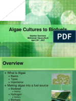 Algae Cultures to Biofuels