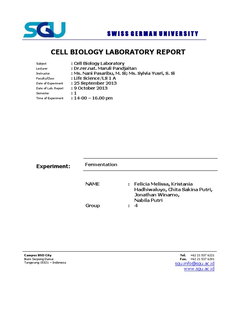 Lab Report Fermentation PDF
