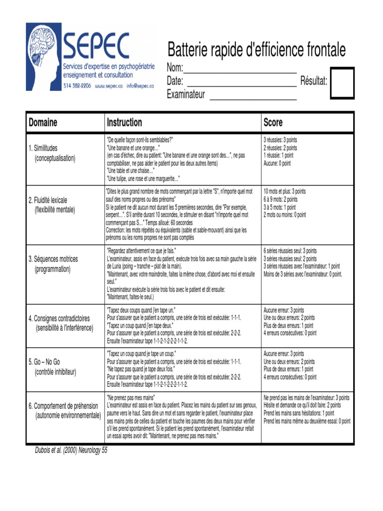 BREF Test Memorie Functii Executive | PDF | Troubles neurologiques ...