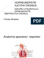 Proiect Postliceala