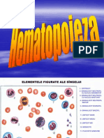 Hematopoieza