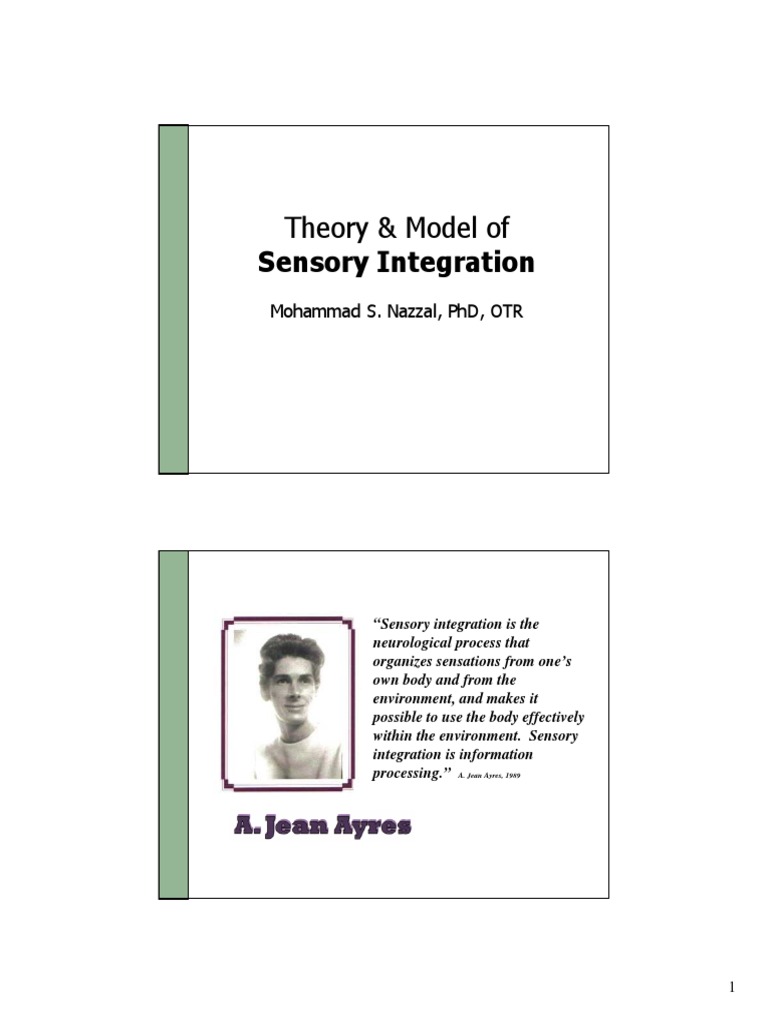Understanding Sensory Integration Theory | PDF | Senses | Brain