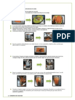 Practica de Agroinsdutrias