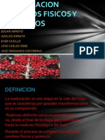 Maduracion Cambios Fisicos y Quimicos