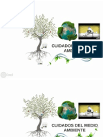 Presentacion Prezi PDF