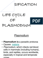 Life Cycle Plasmodium