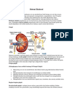 Sistem Ekskresi