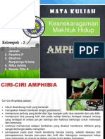 Amphibi