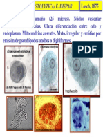 Entamoeba Histoytica