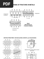 Mechanisms of Fracture in Metals