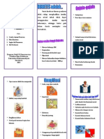 leaflet DM.doc