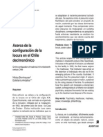 Acerca de la configuración de la locura en el Chile decimonónico. Niklas Borhauser- Estefanía Andaur