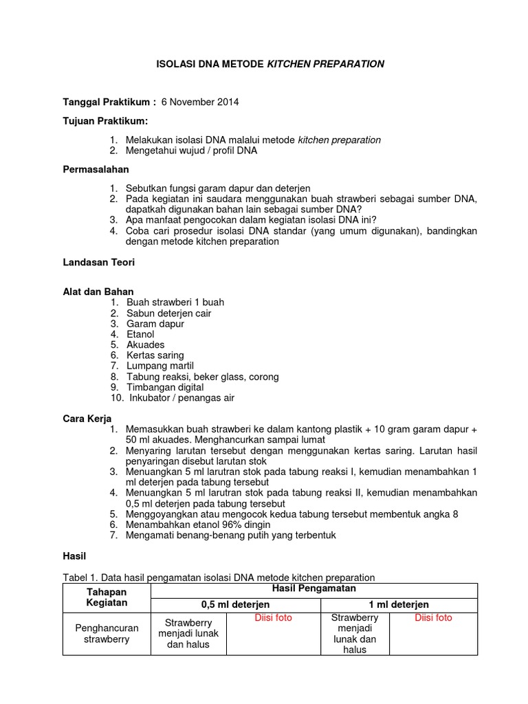 Laporan Praktikum Isolasi Dna Pada Buah Dna Informasi
