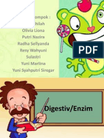 Kelompok 2 D3 B Digestiv