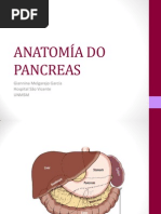 Anatomía Do Pancreas