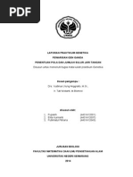 Download PEWARISAN GEN GANDA PENENTUAN POLA DAN JUMLAH SULUR JARI TANGAN by FutikhatulFitri SN248685102 doc pdf