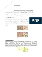 PBL Plasmodium