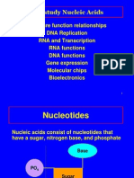 Nucleic Acids 2