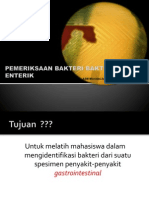 PPT MIKRO ENTERIK