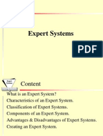 Exp System1