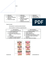 Curación de Las Heridas Cutáneas Robins