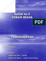 Foram Besar Libre