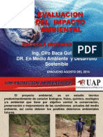 Evaluacion Ambiental. EXPOSICION CIVIL X