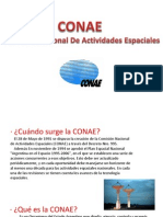 Powerpoint CONAE. Grupo 1