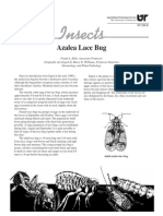 Azalea Lace Bug.pdf