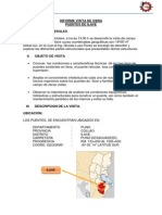 Informe Visita de Obra Puente Ilave