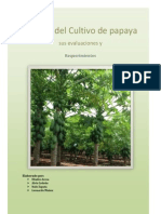 Fertilidad Papaya Analisis