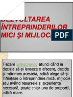 Dezvoltarea Întreprinderilor Mici Şi Mijlocii