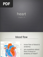 Health Assessment.Cardiac & PVS