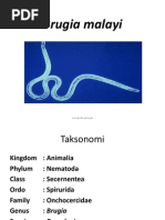 Download Brugia Malayi by seidooreiki SN248715586 doc pdf