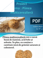 Proiect Piinea Multicerealiera