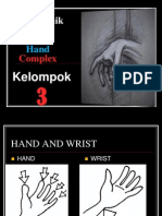Wrist Joint Hand and Fingers