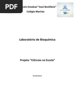 Projeto Laboratório de Ciências