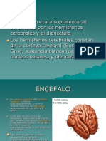 Cerebro