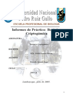 6450239 Informe de Practicas Botanica Criptogamica