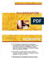 Flu Singapore & Flu Babi
