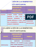 Clasificación de Las Culebras