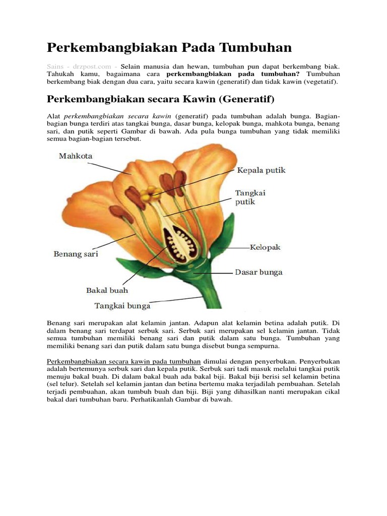 Perkembangbiakan Pada Tumbuhan Docx