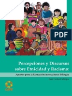 Percepciones y Discursos sobre Etnicidad y Racismo en el Peru