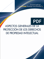 Aspectos Generales de La Protección de Los Derechos de Propiedad Intelectual - Colombia