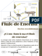 Flujo de Energia