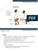 Revisão P3 VET 107