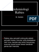 penyakit rabies